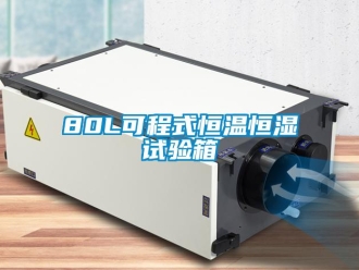 常见问题80L可程式恒温恒湿试验箱
