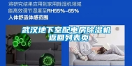 武汉地下室配电房除湿机 返回列表页