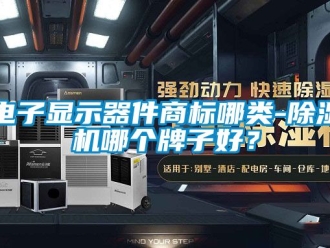 行业资讯电子显示器件商标哪类-除湿机哪个牌子好？