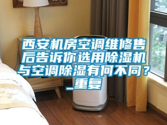行业资讯西安机房空调维修售后告诉你选用除湿机与空调除湿有何不同？_重复