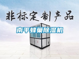 行业资讯南平蜂巢除湿机