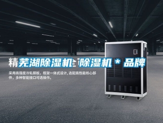 企业动态芜湖除湿机 除湿机＊品牌