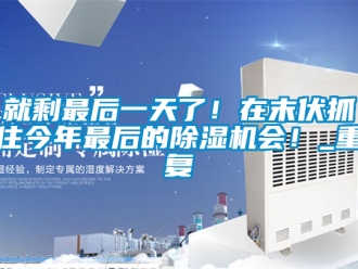 行业资讯就剩最后一天了！在末伏抓住今年最后的除湿机会！_重复