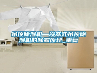 行业资讯吊顶除湿机—冷冻式吊顶除湿机的除霜原理_重复