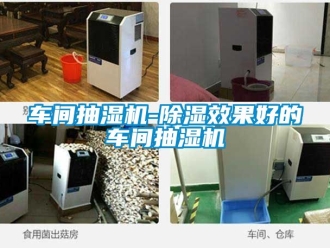 企业动态车间抽湿机-除湿效果好的车间抽湿机