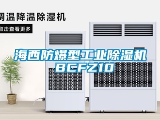 企业动态海西防爆型工业除湿机 BCFZ10