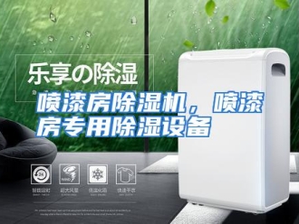 企业动态喷漆房除湿机，喷漆房专用除湿设备