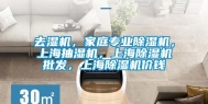 去湿机，家庭专业除湿机，上海抽湿机，上海除湿机批发，上海除湿机价钱