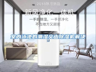 企业动态室内泳池的潮湿交由除湿机解决