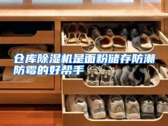 知识百科仓库除湿机是面粉储存防潮防霉的好帮手