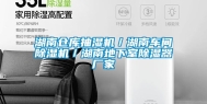 湖南仓库抽湿机／湖南车间除湿机／湖南地下室除湿器厂家