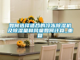 行业资讯如何选择适合的冷冻除湿机及除湿量和风量如何计算_重复