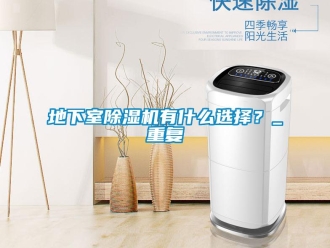 行业资讯地下室除湿机有什么选择？_重复