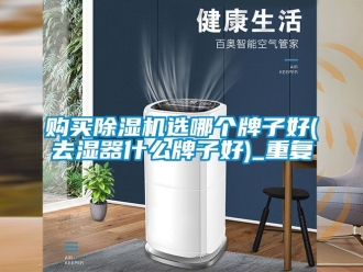 行业资讯购买除湿机选哪个牌子好(去湿器什么牌子好)_重复