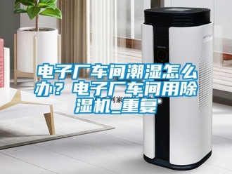 企业动态电子厂车间潮湿怎么办？电子厂车间用除湿机_重复