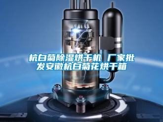 企业动态杭白菊除湿烘干机 厂家批发安徽杭白菊花烘干箱