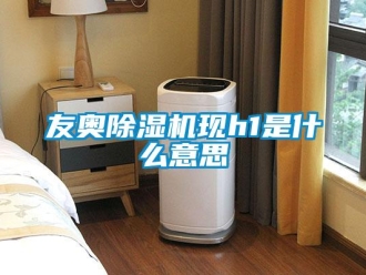 行业资讯友奥除湿机现h1是什么意思