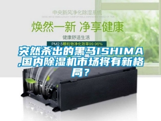 行业资讯突然杀出的黑马ISHIMA,国内除湿机市场将有新格局？