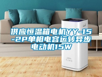 知识百科供应恒温箱电机YY-15-2P单相电容运转异步电动机15W