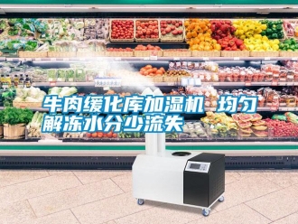行业资讯牛肉缓化库加湿机 均匀解冻水分少流失
