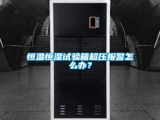 知识百科恒温恒湿试验箱超压报警怎么办？