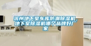 滨州地下室车库防潮除湿机，地下室除湿机哪个品牌好厂家