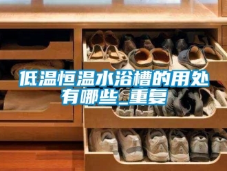 知识百科低温恒温水浴槽的用处有哪些_重复