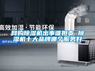 企业动态网购除湿机出事谁担责 除湿机十大品牌哪个服务好