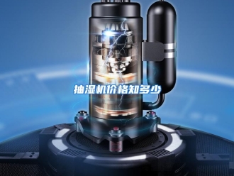 常见问题抽湿机价格知多少