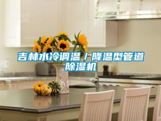 行业资讯吉林水冷调温／降温型管道除湿机