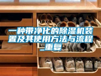 行业资讯一种带净化的除湿机装置及其使用方法与流程_重复