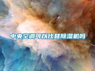 行业资讯中央空调可以代替除湿机吗