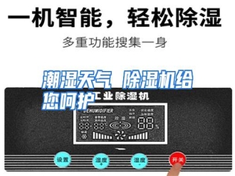 知识百科潮湿天气 除湿机给您呵护