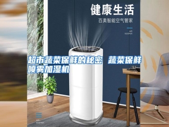 知识百科超市蔬菜保鲜的秘密 蔬菜保鲜喷雾加湿机