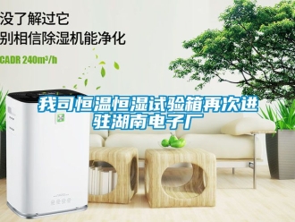 知识百科我司恒温恒湿试验箱再次进驻湖南电子厂