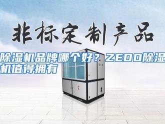 常见问题除湿机品牌哪个好？ZEDO除湿机值得拥有