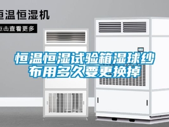 知识百科恒温恒湿试验箱湿球纱布用多久要更换掉