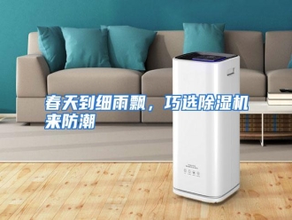 知识百科春天到细雨飘，巧选除湿机来防潮