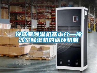 行业资讯冷冻室除湿机基本介—冷冻室除湿机的循环机制