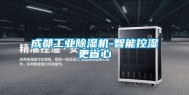 成都工业除湿机-智能控湿更省心