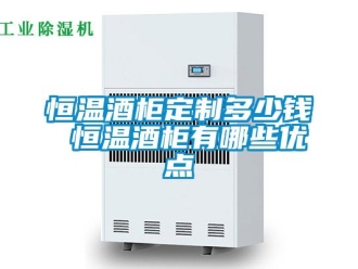 知识百科恒温酒柜定制多少钱 恒温酒柜有哪些优点