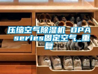 行业资讯压缩空气除湿机 DPA series固定空气_重复
