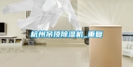 杭州吊顶除湿机_重复