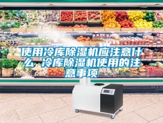 行业资讯使用冷库除湿机应注意什么 冷库除湿机使用的注意事项