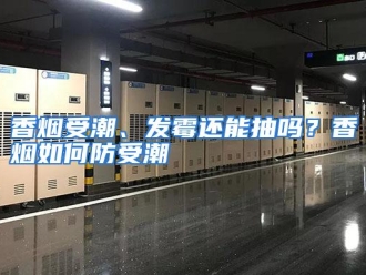 常见问题香烟受潮、发霉还能抽吗？香烟如何防受潮