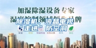 除湿机、液晶电视“走进”防空洞
