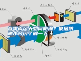 常见问题春季南风天如何防潮？家居防潮小窍门了解一下