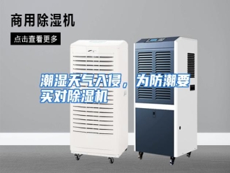 知识百科潮湿天气入侵，为防潮要买对除湿机