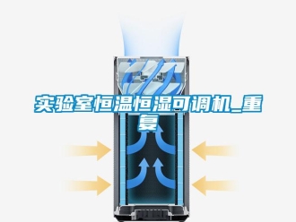 知识百科实验室恒温恒湿可调机_重复