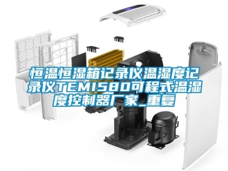 知识百科恒温恒湿箱记录仪温湿度记录仪TEMI580可程式温湿度控制器厂家_重复